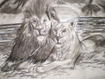 PAREJA DE LEONES