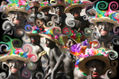negros danzantes 2