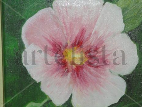 Flor1