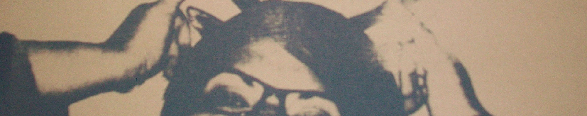 Imagen de portada
