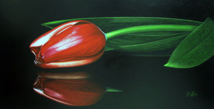 Reflejo de Luz