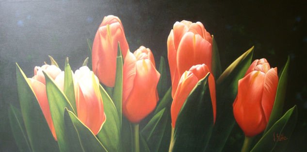 Tulipanes Rojos 3 Oil Canvas Floral Painting