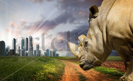 Rinoceronte y ciudad