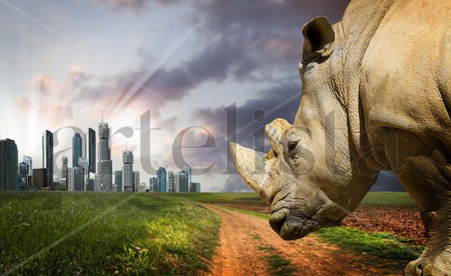 Rinoceronte y ciudad