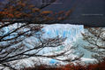 OTOÑO EN EL PERITO MORENO