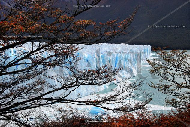 OTOÑO EN EL PERITO MORENO Nature Color (Digital)