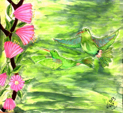Los colibríes