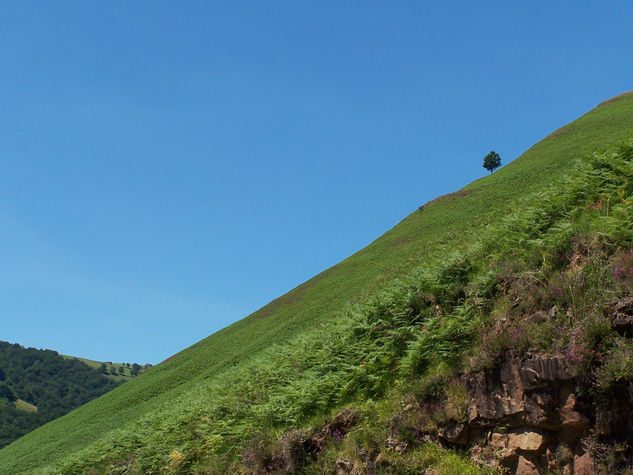 Valle del Pas. Cantabria 