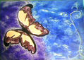 MARIPOSA EN VUELO