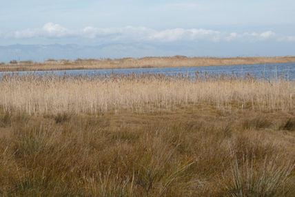 Horizonte I
