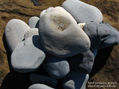 Piedras en el camino