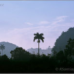 "Paisaje" thumbnail 2