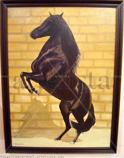 Caballo Andaluz Oil Canvas Animals