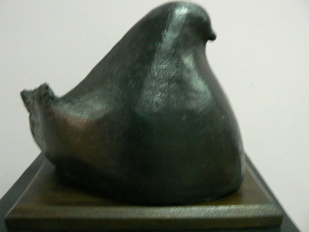 PALOMA