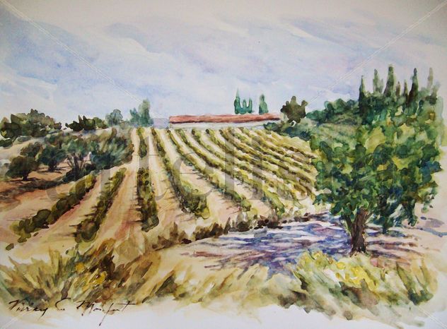 Viñedos de Belgida