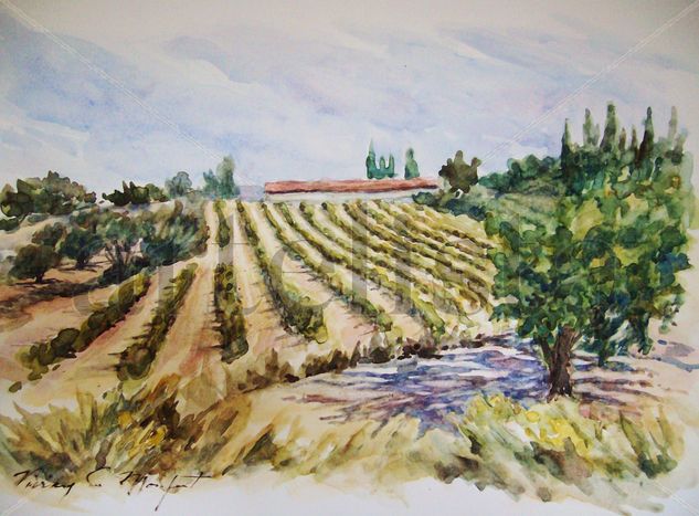 Viñedos de Belgida Acuarela Papel Paisaje