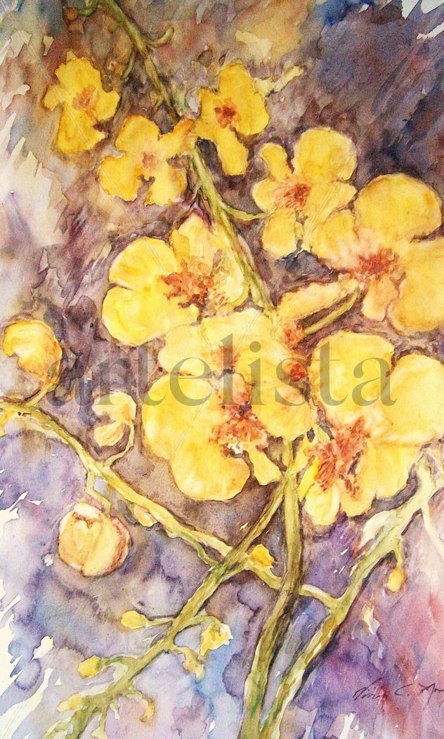 Flores