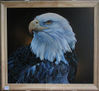 aguila americana