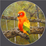 Pinturas al Oleo - Oil Paintings thumbnail 2