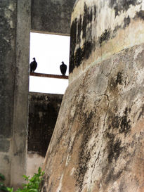 Observadores