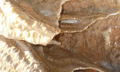 Deltebre
