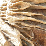 Deltebre thumbnail 1
