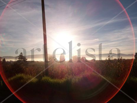 Un lindo amanecer