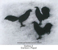 Gallos