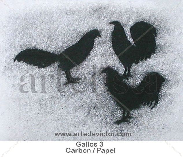 Gallos Charcoal