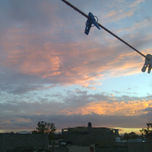Foto thumbnail 1