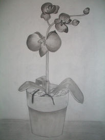 Bodegon 4