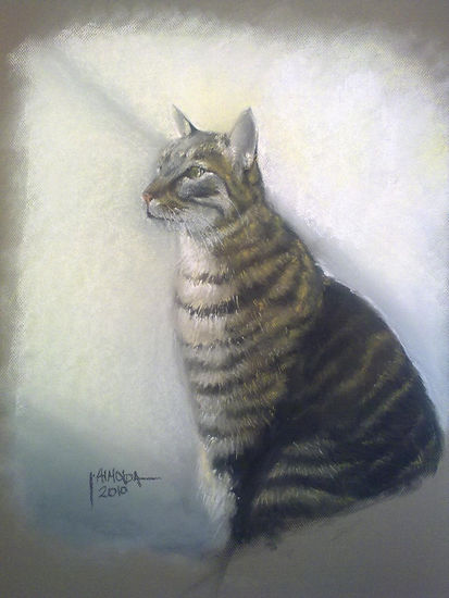 Mi gato Pastel Paper Animals