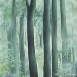 Bosques thumbnail 1
