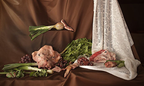 Ambrosías