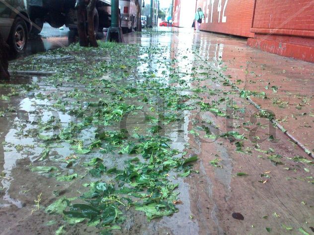 Despues de la lluvia