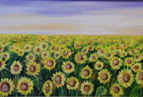 Campo de girasoles