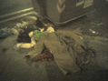 ropa