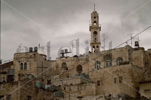 palestina 6