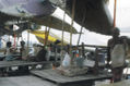 india 11