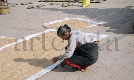 nepal