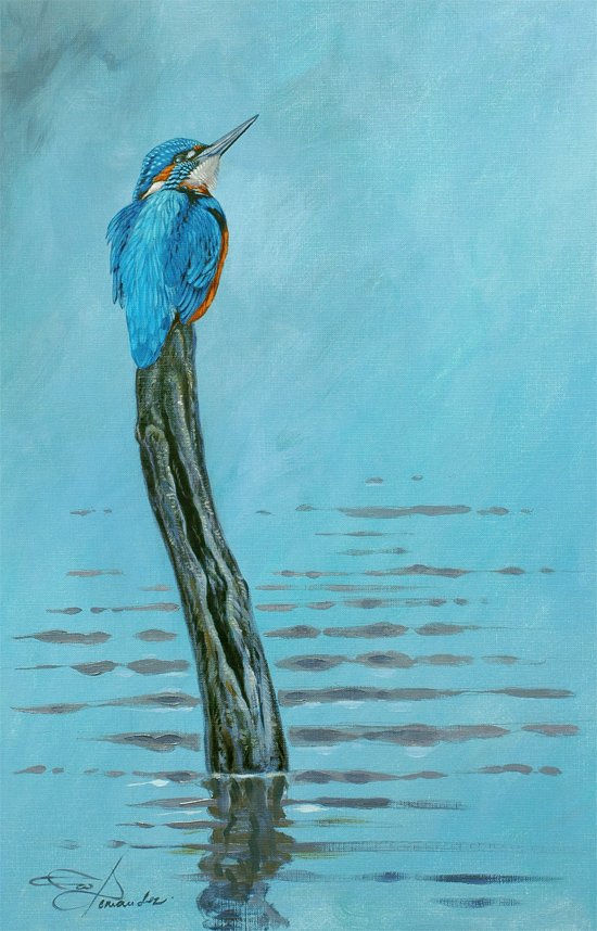 Martin pescador sobre azul