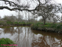 Arroyo el pescado 3