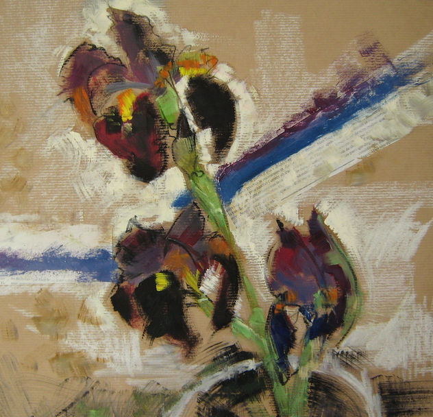 iris