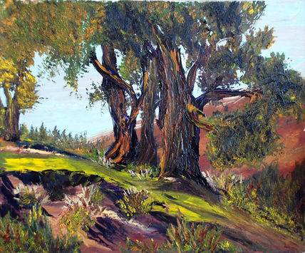 Óleos (56)