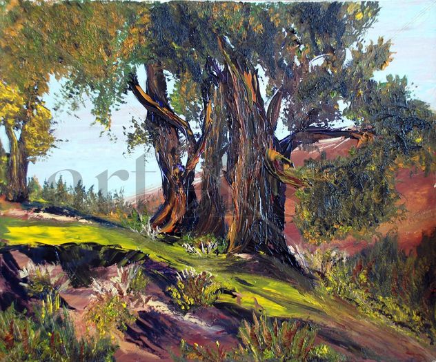 Óleos (56)