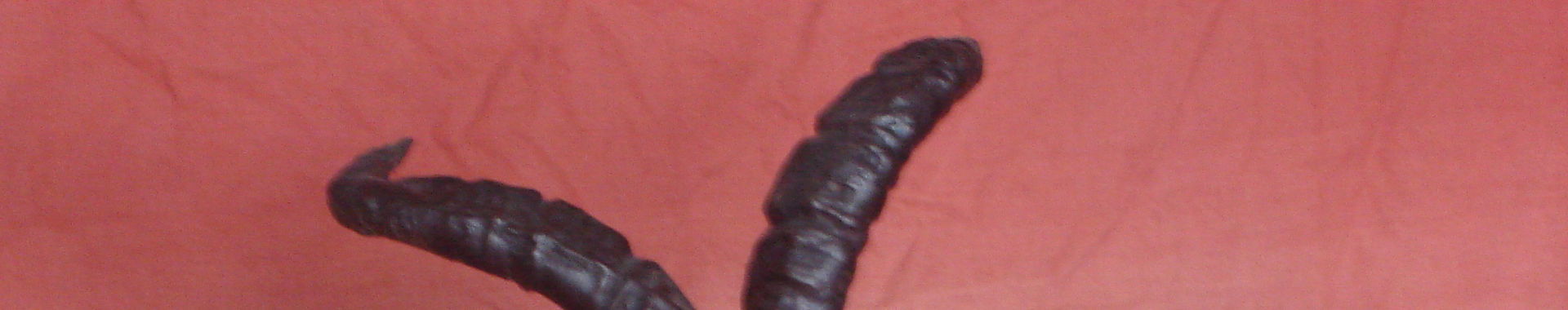 Imagen de portada