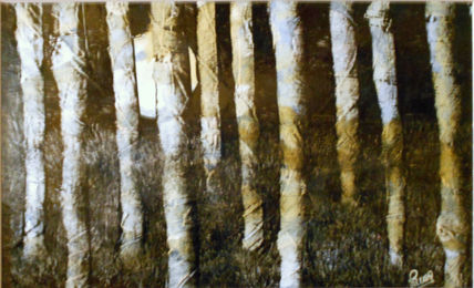 El bosque en la luna