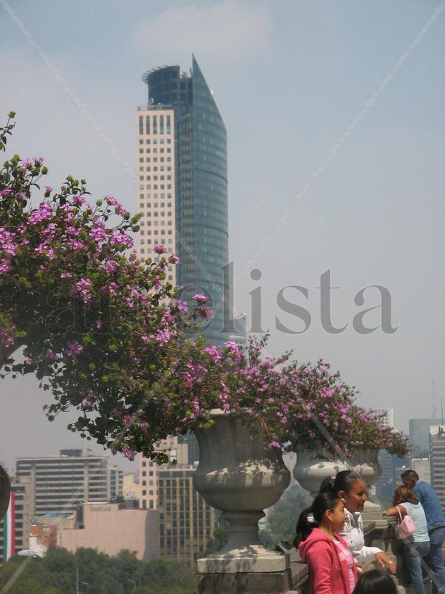 Torre Mayor