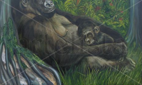 De la serie Alerta Naranja por la biodiversidad