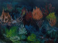 Corales